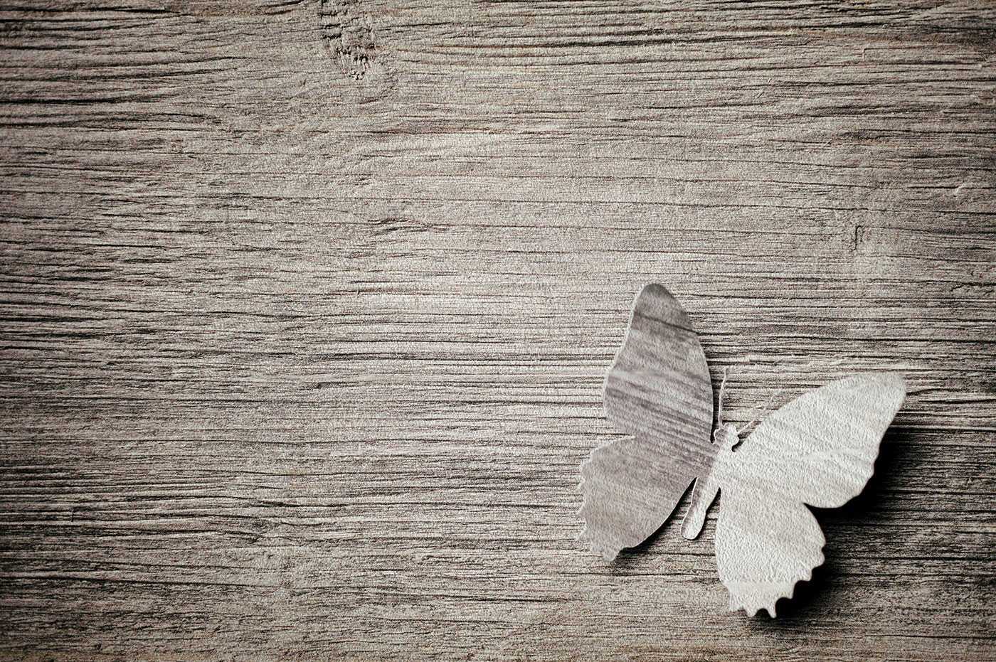 CreativeLive.it
